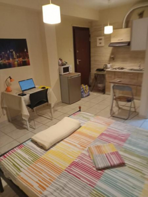All in one studio,Living,sleeping,working,kitchen,bath